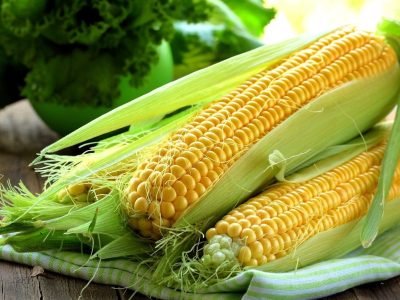 CORN (MAIZE)